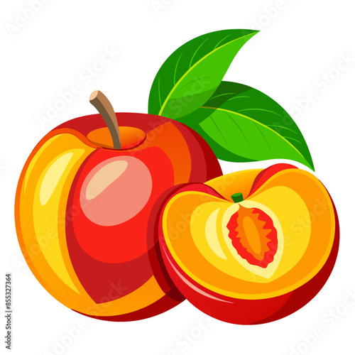 llustration of whole and halved nectarines with leaves on a white background.
