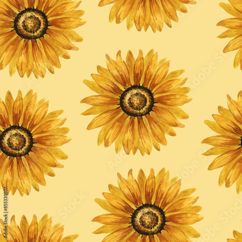 Watercolor sunflower seamless pattern. Floral background with yellow flowers. Summer floral composition. Autumn flowers arrangement. Hand drawn botanical illustration for packaging, textile, scrapbook