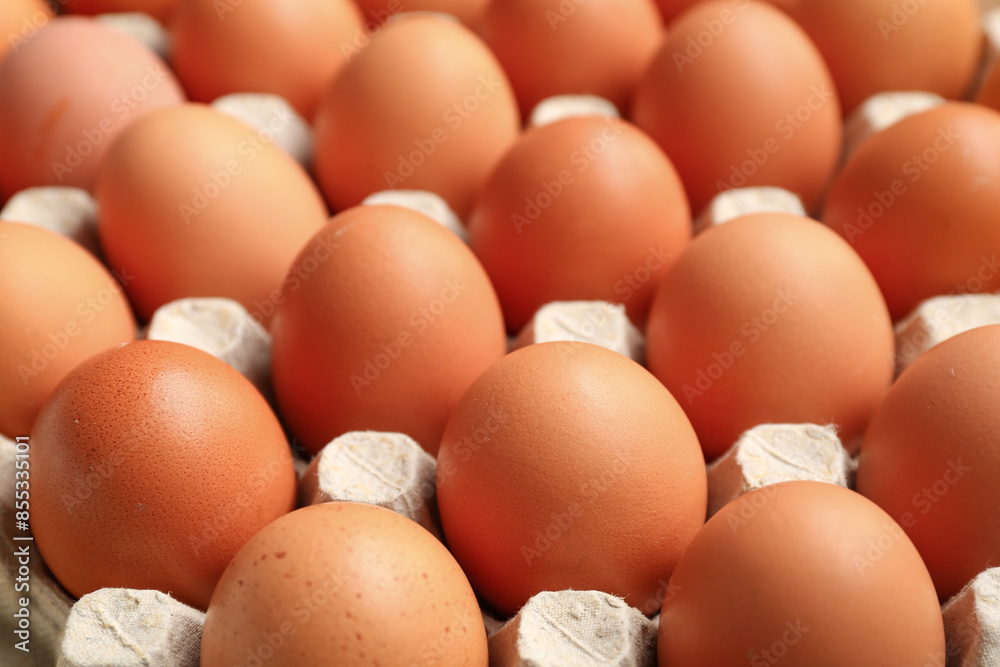 Chicken eggs in cardboard box as background Chicken eggs in cardboard box as background