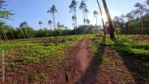 Cycling through a forested area with beautiful tree views and sunbeams shining through. Idea of enjoying outdoor relaxation and forest scenery.