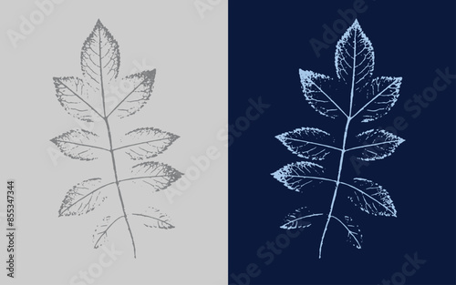 Stamp imprint of a leaf or plant with organic texture. Isolated leaf print for floral art or pattern.