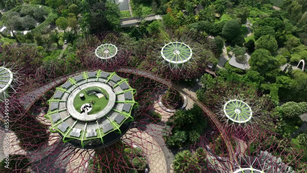 sunny day singapore city famous magic garden tree tops bridge aerial topdown panorama 4k sunny day singapore city famous magic garden tree tops bridge aerial topdown panorama 4k