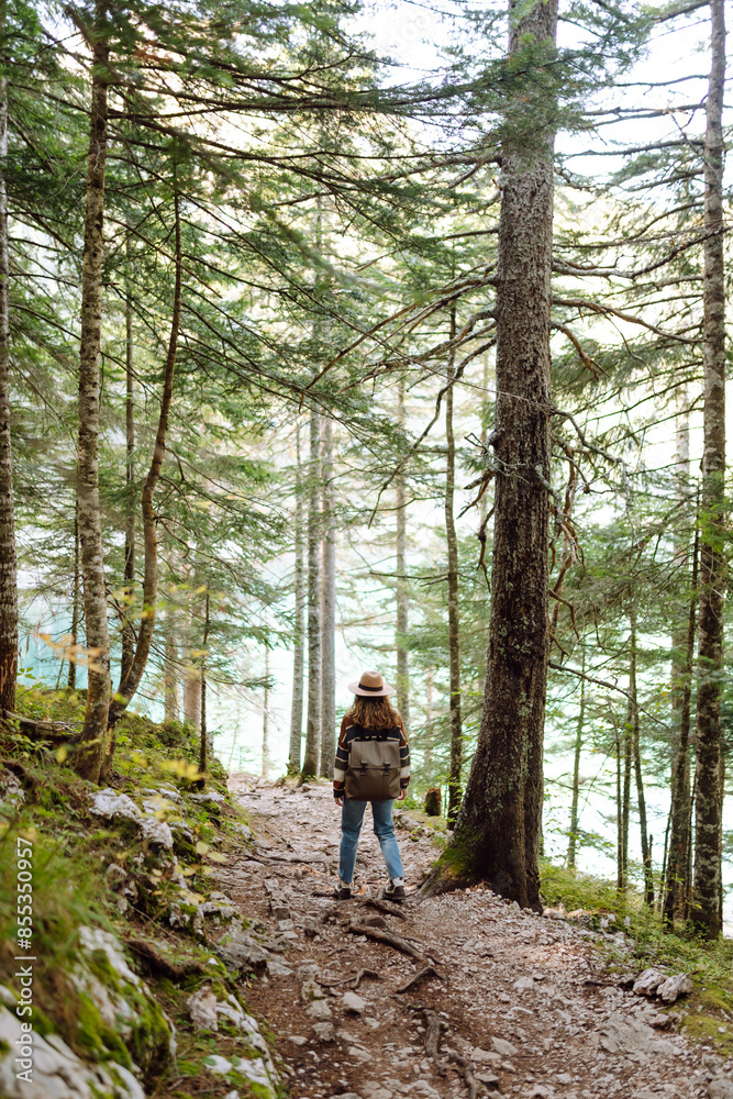 Young female traveler with backpack walking in national park or forest. Hiking, recreation and sports in nature. Young female traveler with backpack walking in national park or forest. Hiking, recreation and sports in nature.