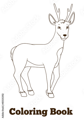 Coloring book forest animal roe deer cartoon for children PNG illustration © Oleksandr Pokusai
