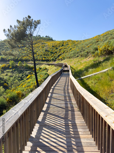 Wallpaper Mural A serene boardwalk winds through vibrant, flower-laden hills under a vast blue sky Torontodigital.ca