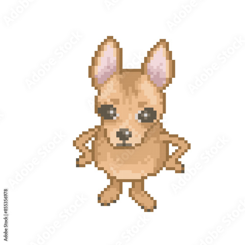 Funny little dog, pixel art meme