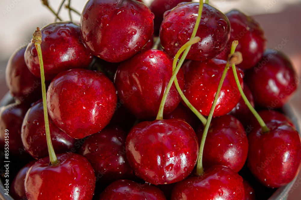 Fresh cherries close-up, with splashes of water, healthy eating concept, healthy lifestyle concept Fresh cherries close-up, with splashes of water, healthy eating concept, healthy lifestyle concept