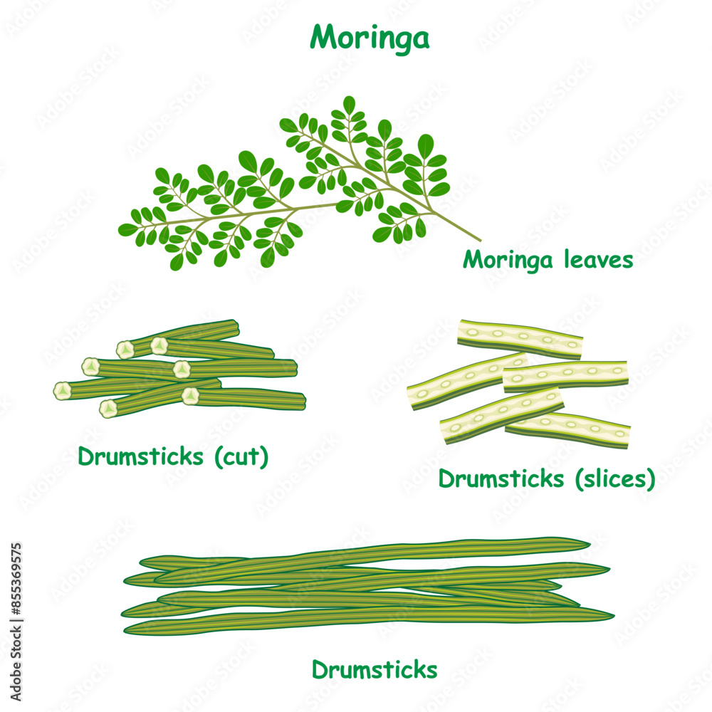 Moringa leaves and drumstick cut and sliced isolated on a white background.