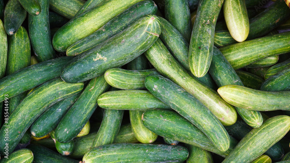 Pile of green cucumbers. Top view. Focus selected