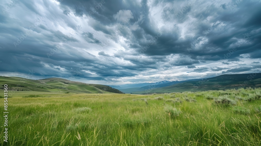 Green grass blankets the foothills under cloudy skies Green grass blankets the foothills under cloudy skies