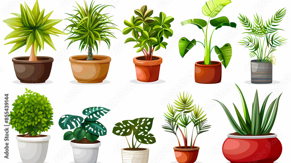Set of different plants in pots isolated on white background illustration Set of different plants in pots isolated on white background illustration