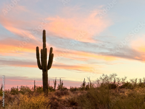 Tranquil Arizona desert sunset with a majestic saguaro cactus silhouette against a colorful sky, capturing the serene beauty and natural wilderness of the American Southwest in the evening twilight.