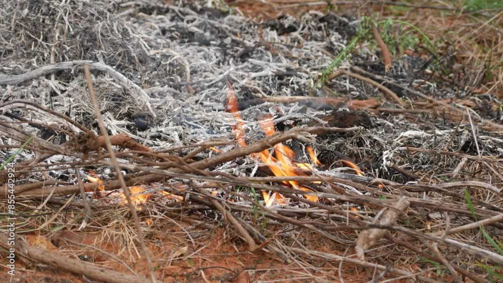 Wildfire rages through dry brush and fallen branches Wildfire rages through dry brush and fallen branches