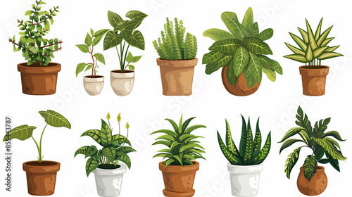 Set of different plants in pots isolated on white background illustration © ak159715