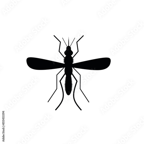 mosquito illustration 