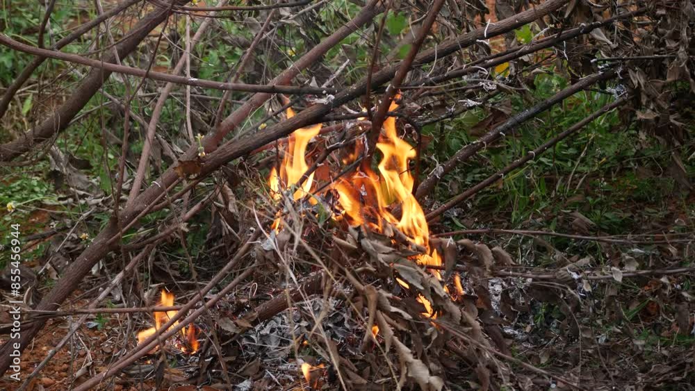 Wildfire in progress dangerously close to vegetation Wildfire in progress dangerously close to vegetation