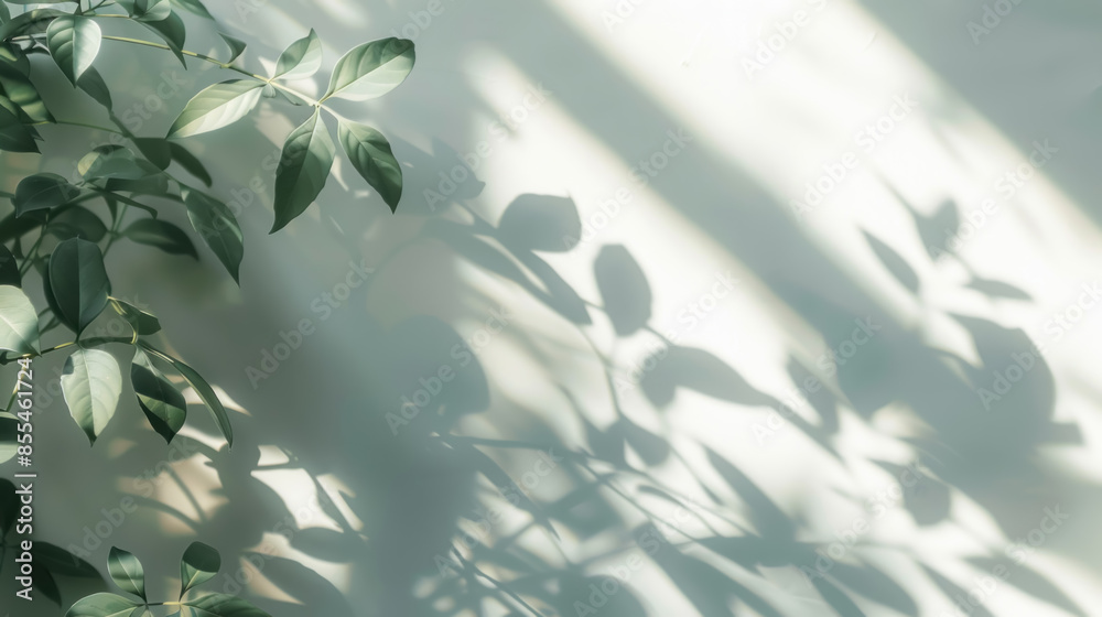 Minimalistic Light Background with Blurred Foliage Minimalistic Light Background with Blurred Foliage