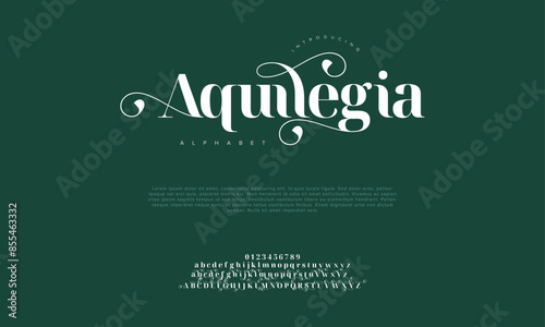 Aquilegia premium luxury elegant alphabet letters and numbers. Vintage wedding typography classic serif font decorative vintage retro. creative vector illustration