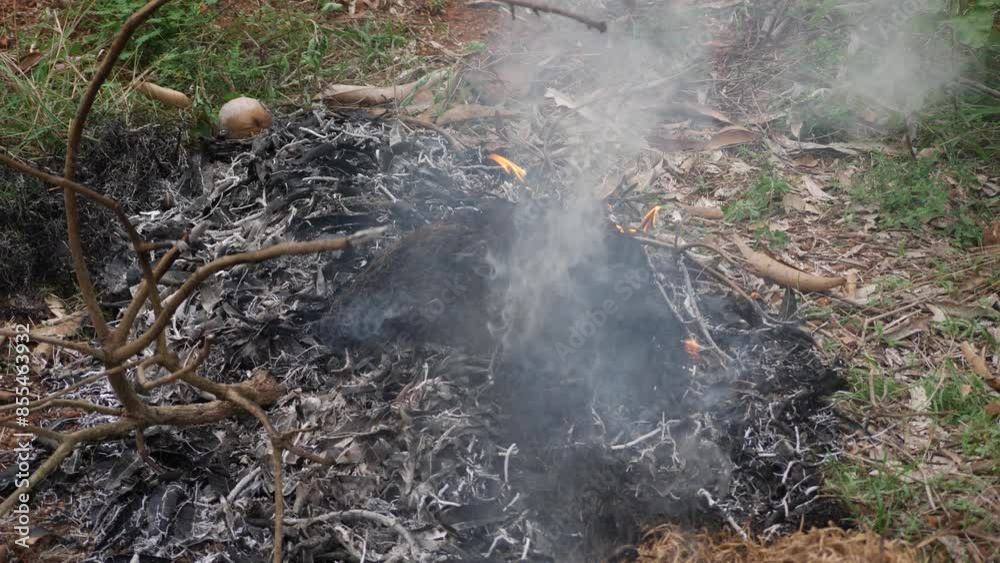 Smoke rising from a pile of burning leaves and branches Smoke rising from a pile of burning leaves and branches