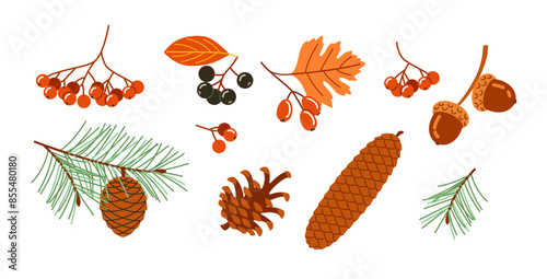A collection of autumn leaves and cones. The image has a warm and cozy feeling, evoking the colors and textures of fall