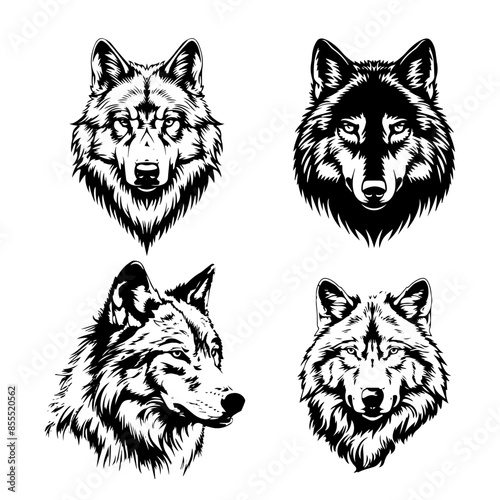 wolf head vector