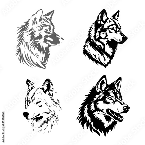 wolf head vector