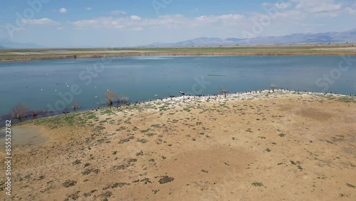 The escape scene when you go towards the birds in the lake photo