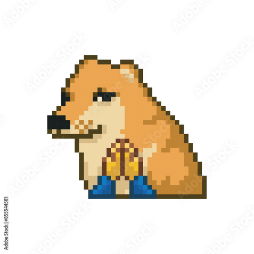 Believer dog, pixel art meme