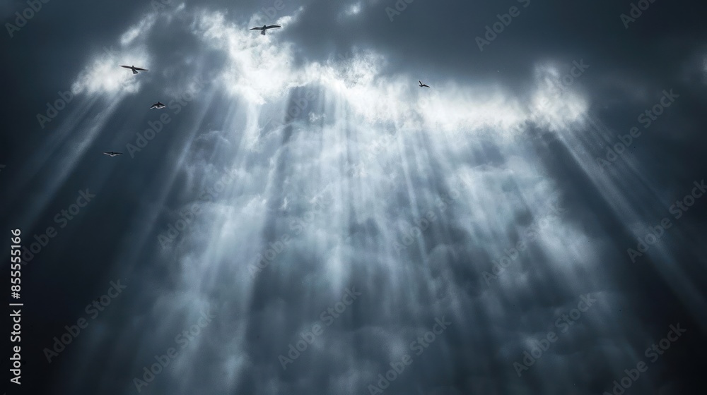 Fototapeta premium Birds ascend through illuminated breaks in clouds symbolizing freedom