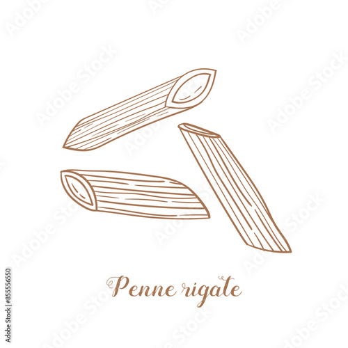 Penne rigate pasta illustration. Vector sketch. Traditional Italian food. Hand-drawn image. Isolated icon