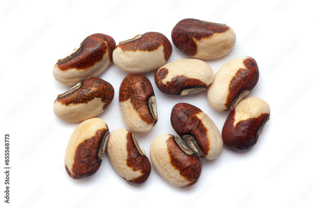 Obraz premium Close-up of Dried Organic Beans or Black Eyed Peas (Vigna unguiculata) seeds, isolated on a white background. Top view.