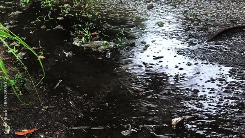 雨