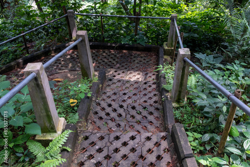 Old stairs in the forest. Stairs made of paving blocks lead to the Nangka waterfall forest area.