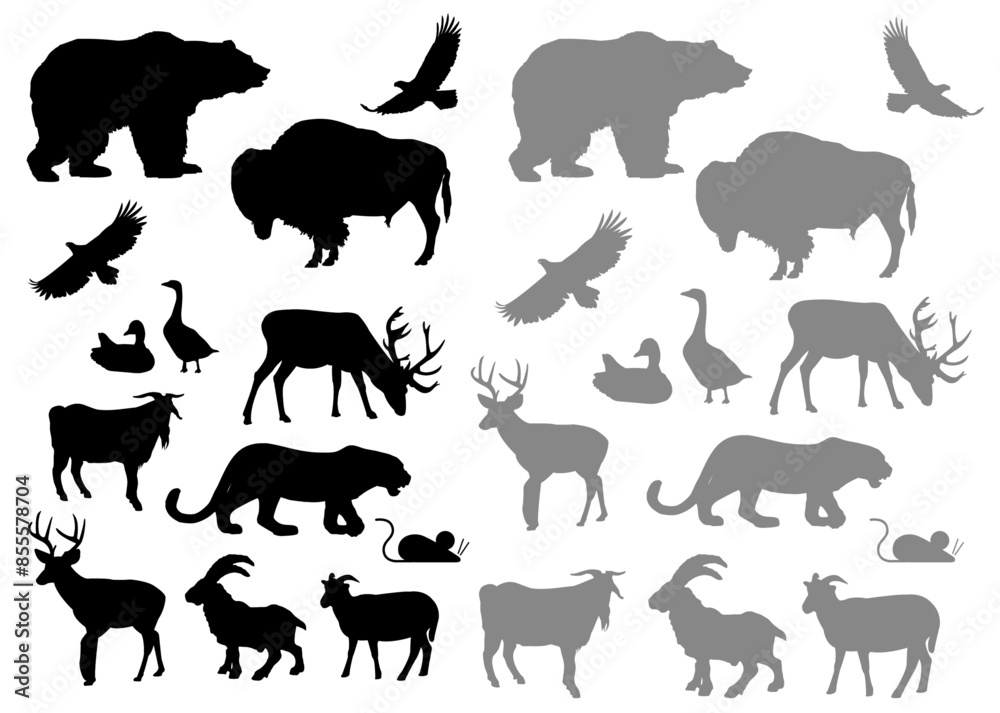 Wild Animals Silhouette collection vector with White Background Wild Animals Silhouette collection vector with White Background