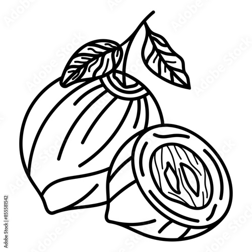 nutmeg