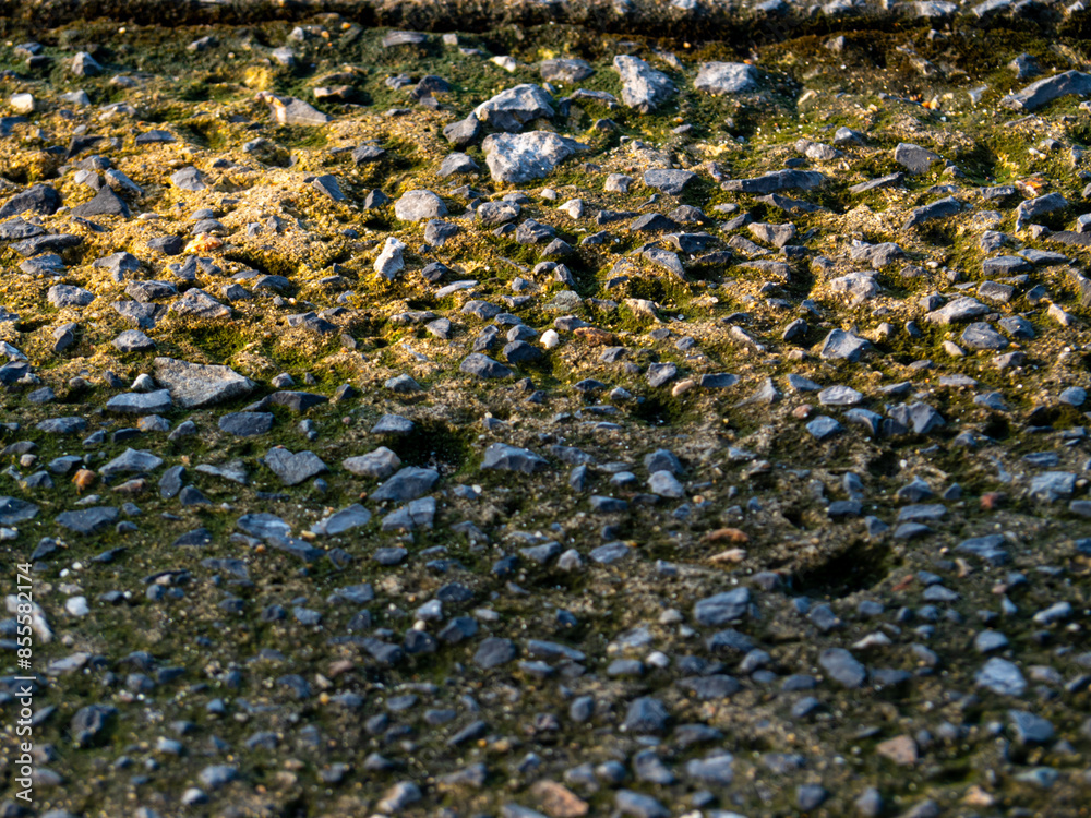 Weeds and moss on the concrete floor are eroded to reveal rocks Weeds and moss on the concrete floor are eroded to reveal rocks