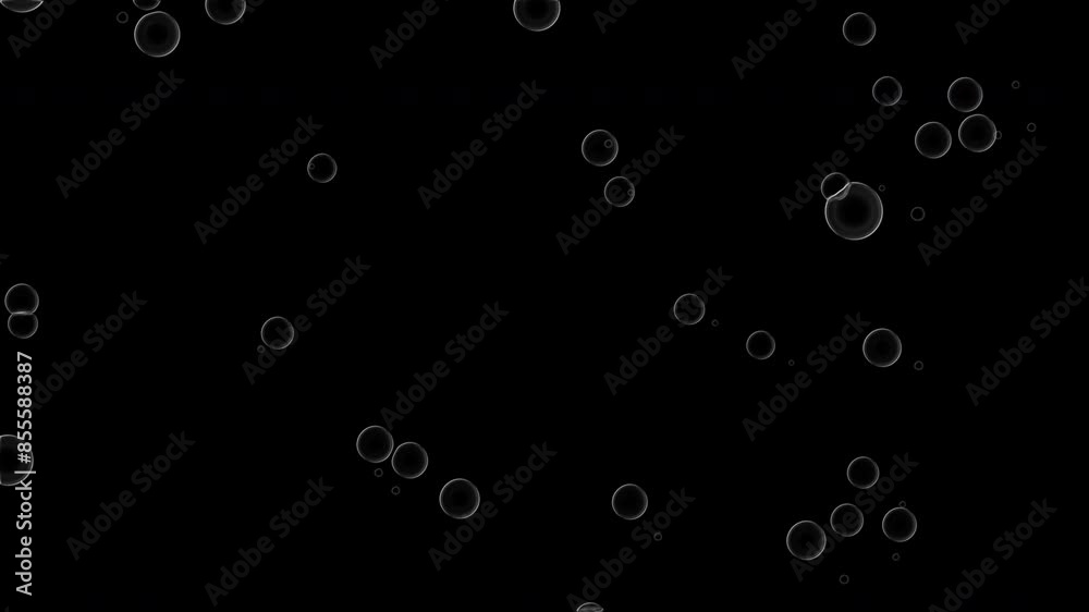Transparent bubbles rising against a black background, creating a calm and mesmerizing effect. Ideal for backgrounds, relaxation themes, and creative projects Transparent bubbles rising against a black background, creating a calm and mesmerizing effect. Ideal for backgrounds, relaxation themes, and creative projects