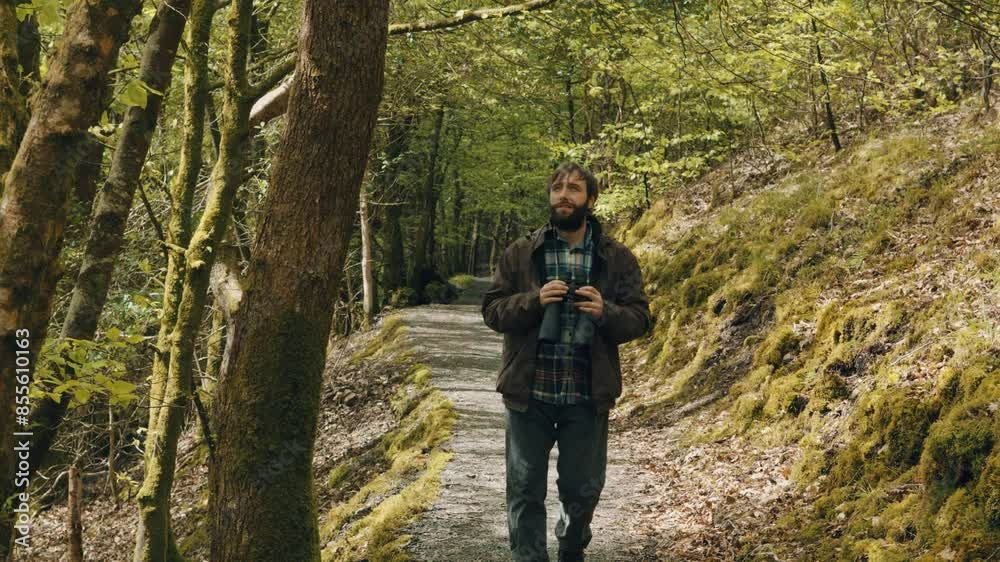 Male Birdwatcher Hiker Walking Through Woodland with Binoculars Looking For Places to Observe Birds Wildlife - Slow Motion Male Birdwatcher Hiker Walking Through Woodland with Binoculars Looking For Places to Observe Birds Wildlife - Slow Motion