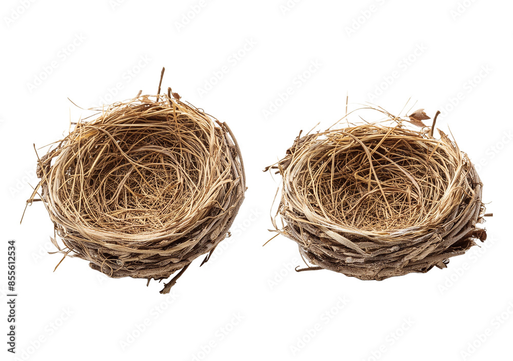 Obraz premium Empty bird nest isolated on the white background
