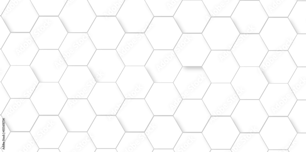 Vector White Hexagonal Background. Luxury White Pattern. Vector Illustration. 3D Futuristic abstract honeycomb mosaic white background. geometric mesh cell texture. modern futuristic wallpaper. Vector White Hexagonal Background. Luxury White Pattern. Vector Illustration. 3D Futuristic abstract honeycomb mosaic white background. geometric mesh cell texture. modern futuristic wallpaper.