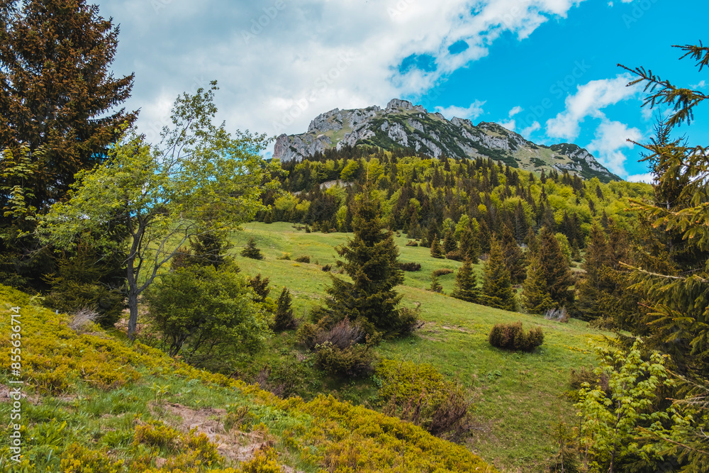 Obraz premium landscape in the mountains