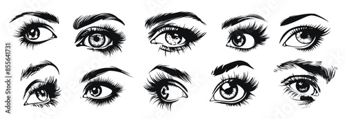 Eyes collection vector black and white illustration. Detailed eyelashes with various look expressions silhouette.