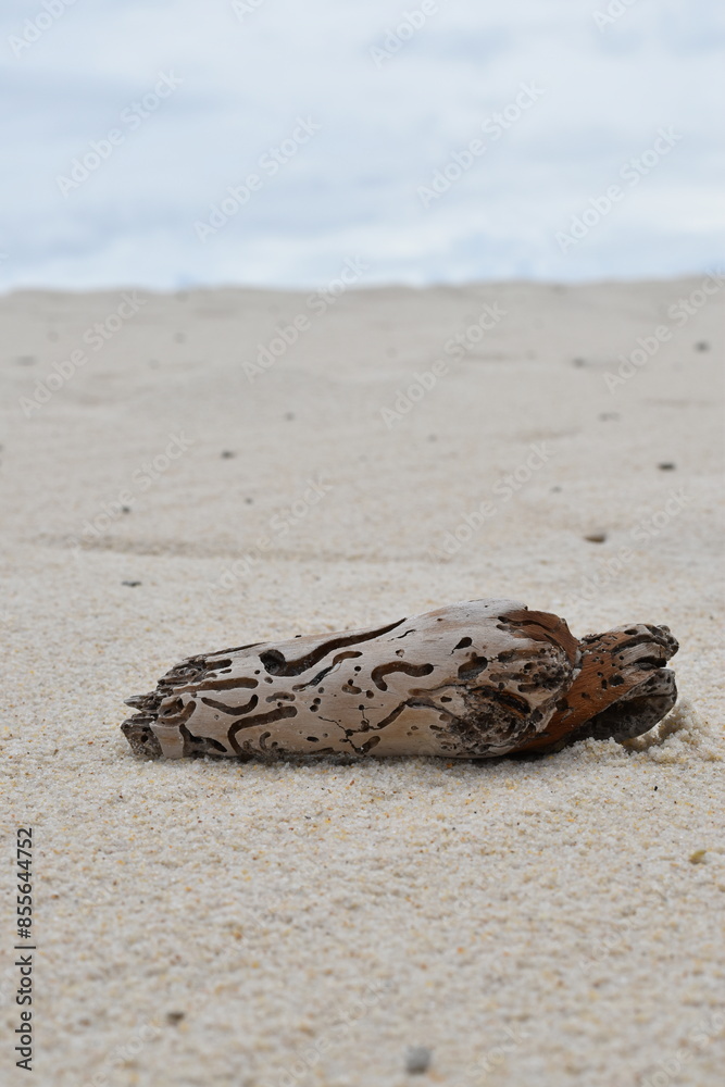 Wooden textured stick lies on white sand. Wooden textured stick lies on white sand.