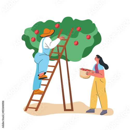 Farmers Picking Apples Illustration vector