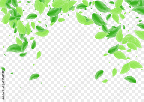 Greenish Foliage Background Transparent Vector. Plant Space Design. Border Illustration. Green Template Frame. Leaf Environment.