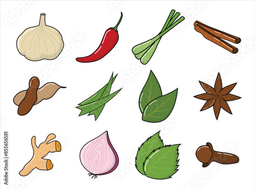 Indonesian Herb and Spices Icon Set