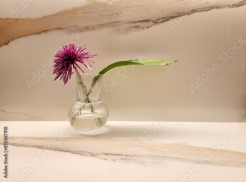 A pretty purple flower shot against a marble tile. 