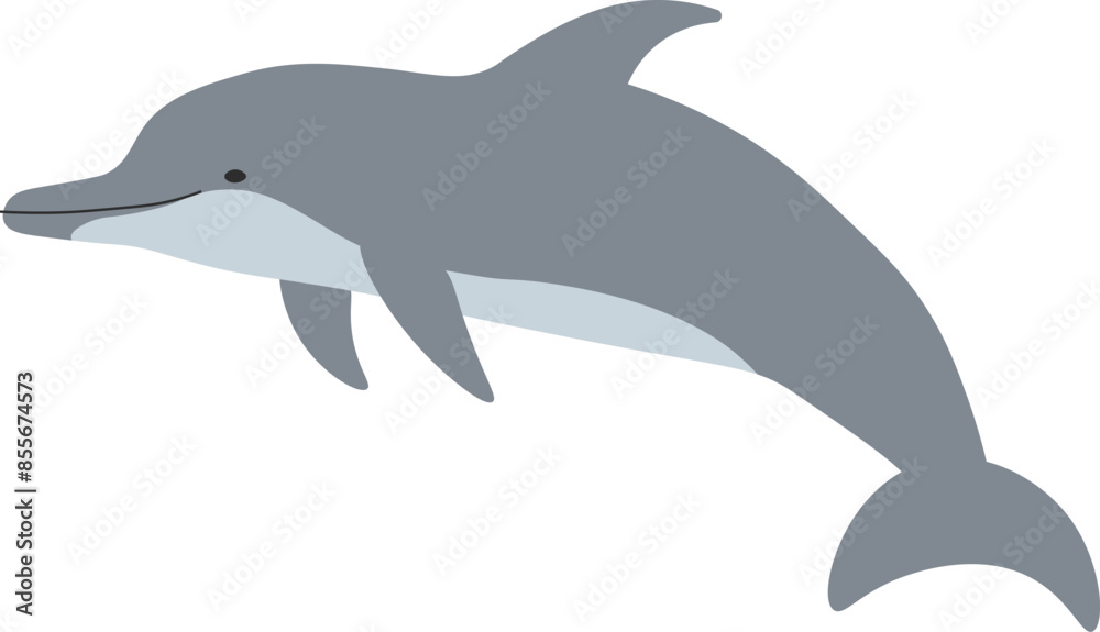 バンドウイルカ