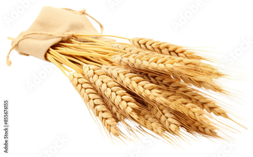 PNG Wheat food white background agriculture. photo