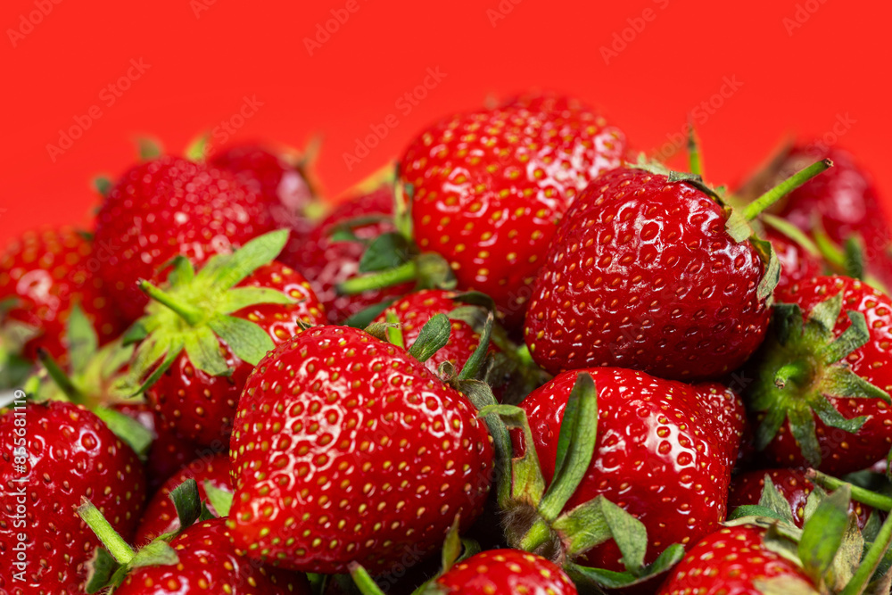 Fresh ripe perfect strawberry on red background Fresh ripe perfect strawberry on red background